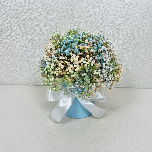 gispsofila-miks-v-korobke6